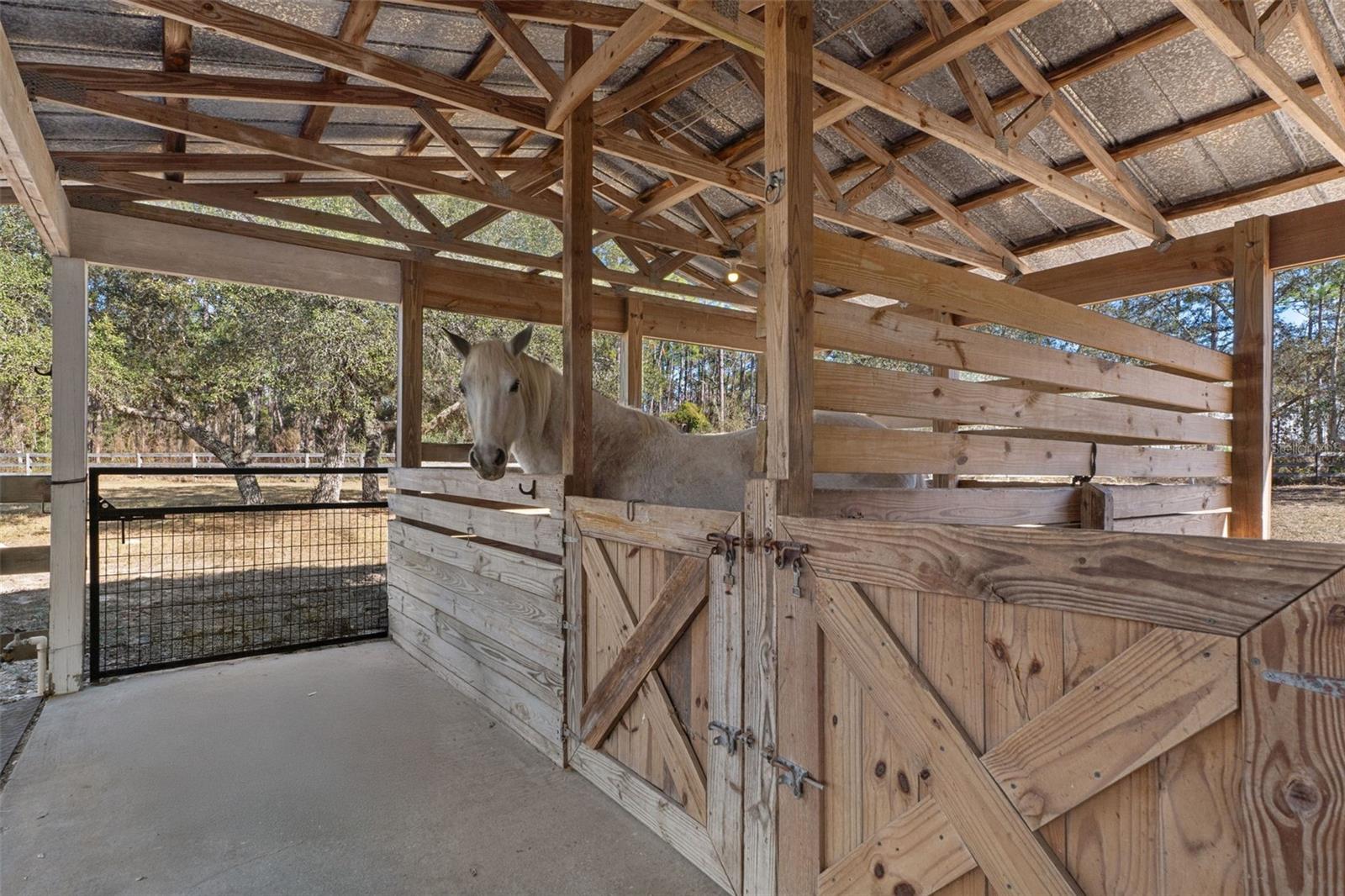 Image 49 of 80 For 4210 Horseshoe Drive