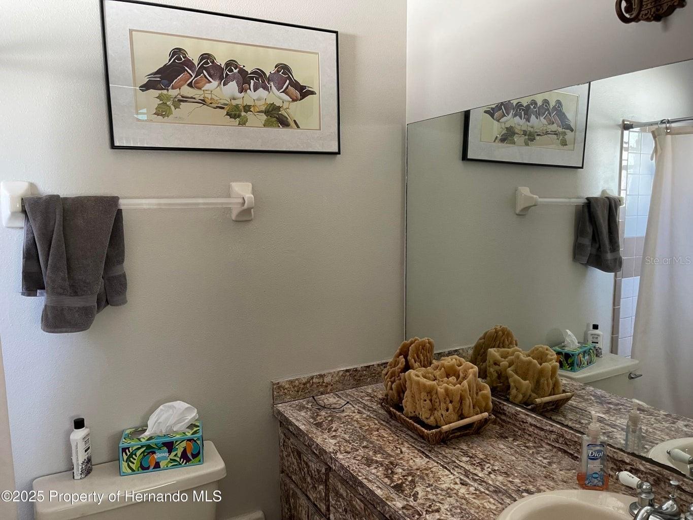 Image 12 of 19 For 6233 Hancock Avenue