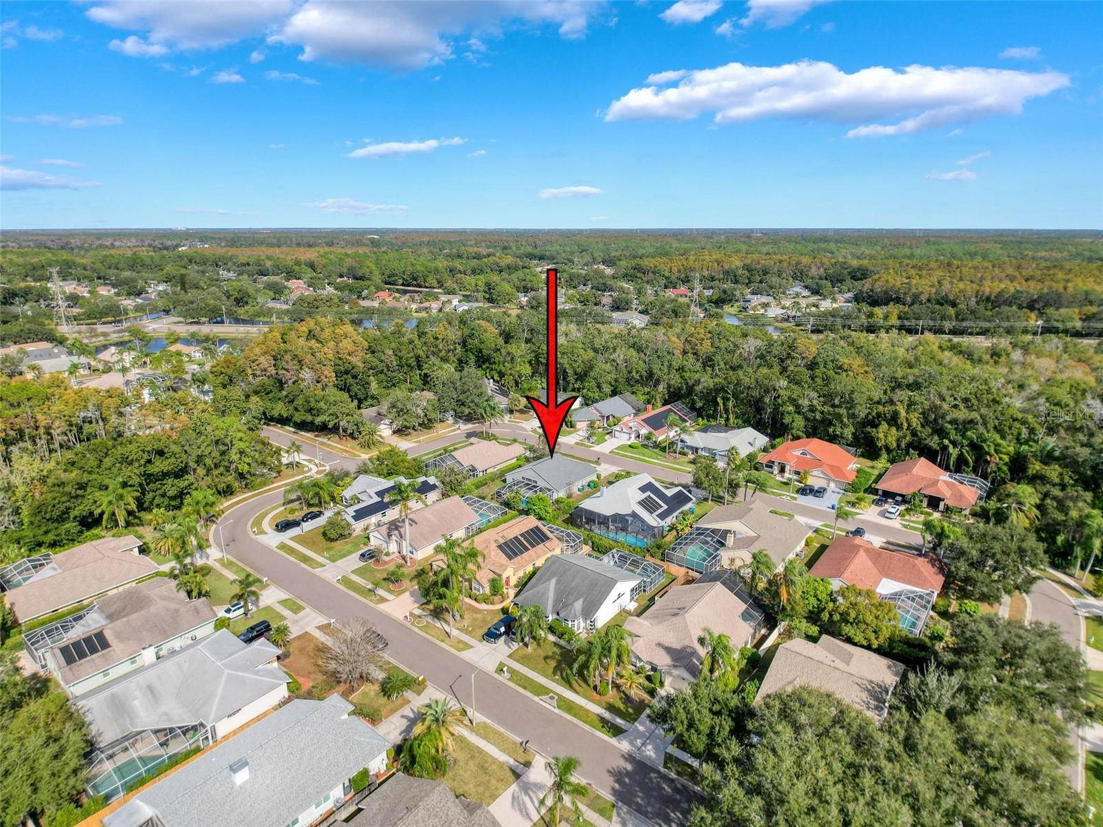 Image 48 of 54 For 890 Crestridge Circle