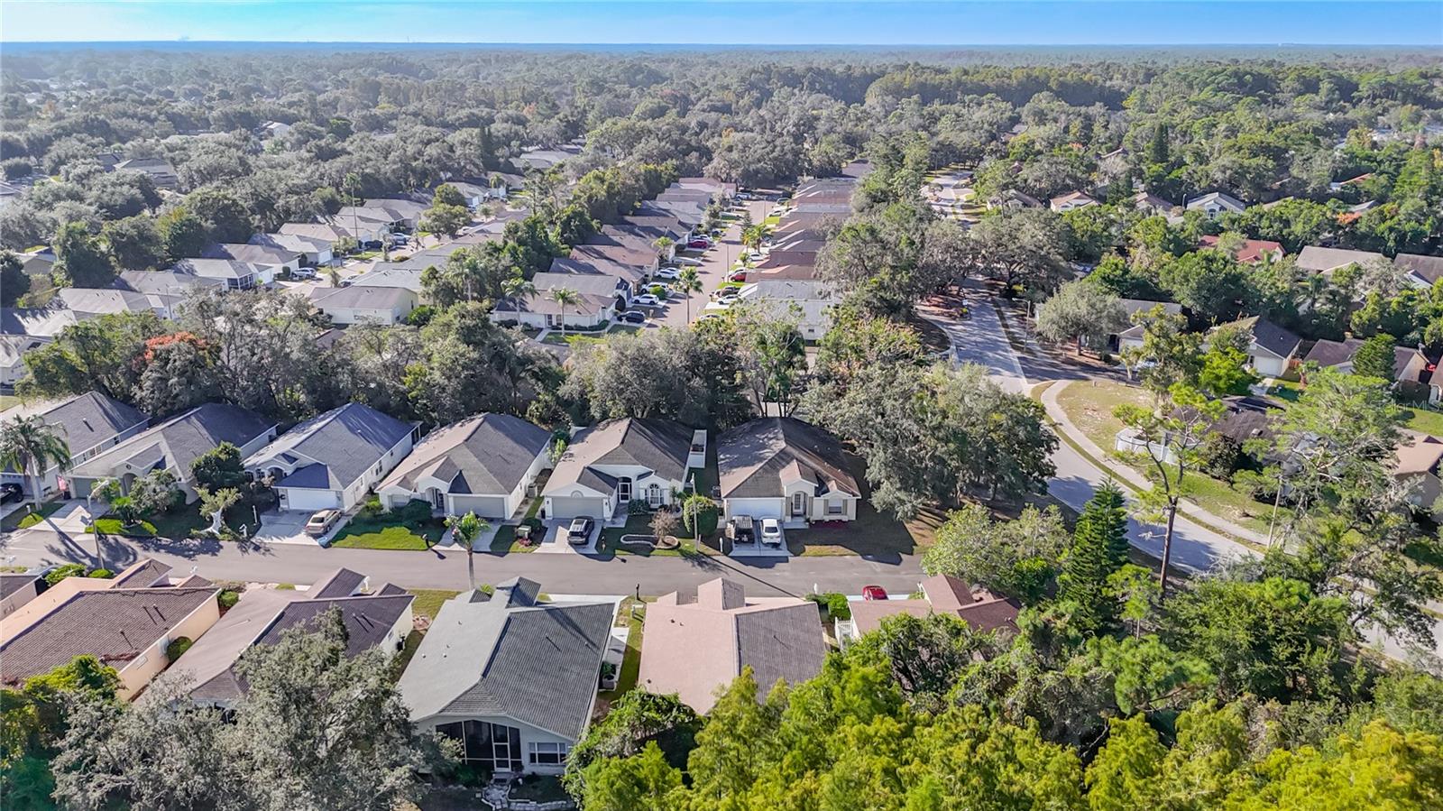 Image 64 of 65 For 11005 Millbury Court