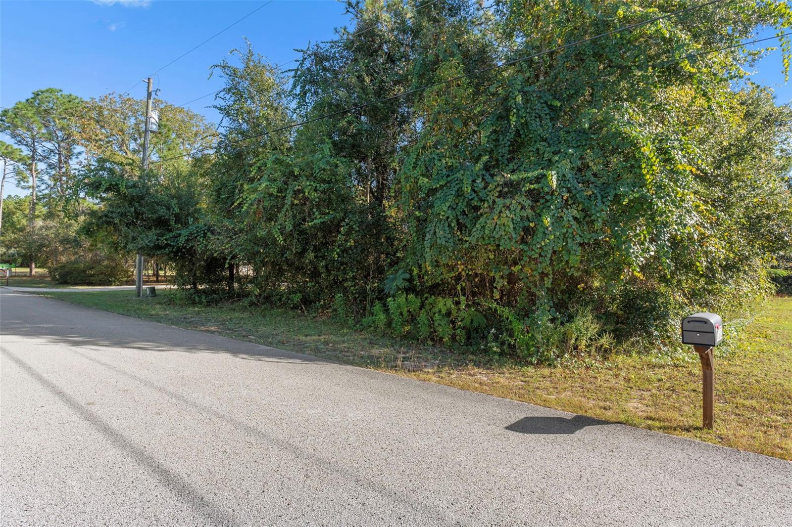 Image 65 of 72 For 1370 Cleveland Street