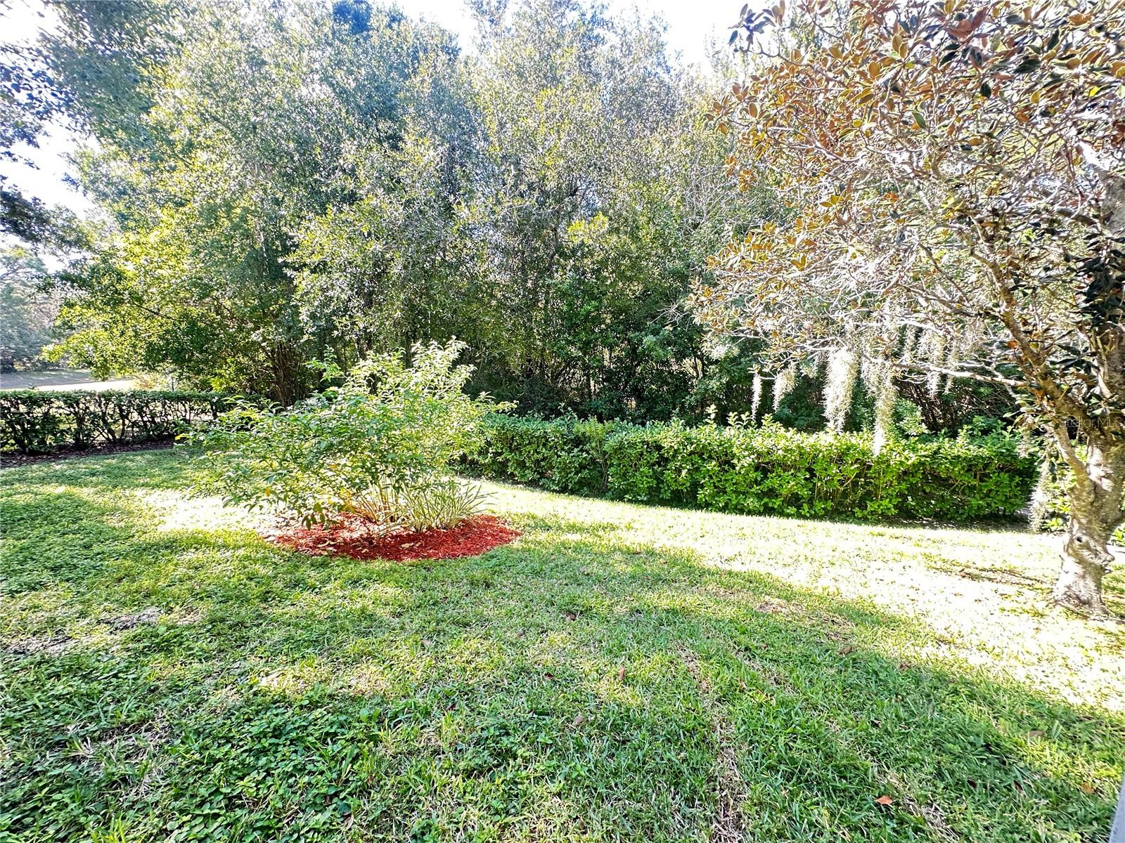 Image 46 of 61 For 18523 Queen Brooks Court