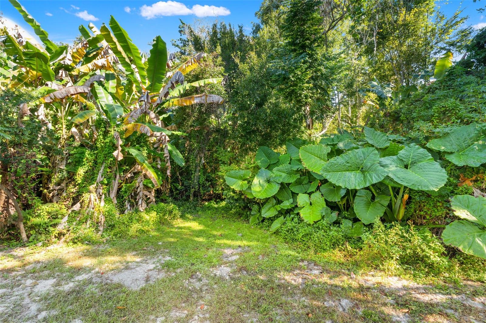 Image 21 of 45 For 7803 Riverdale Drive