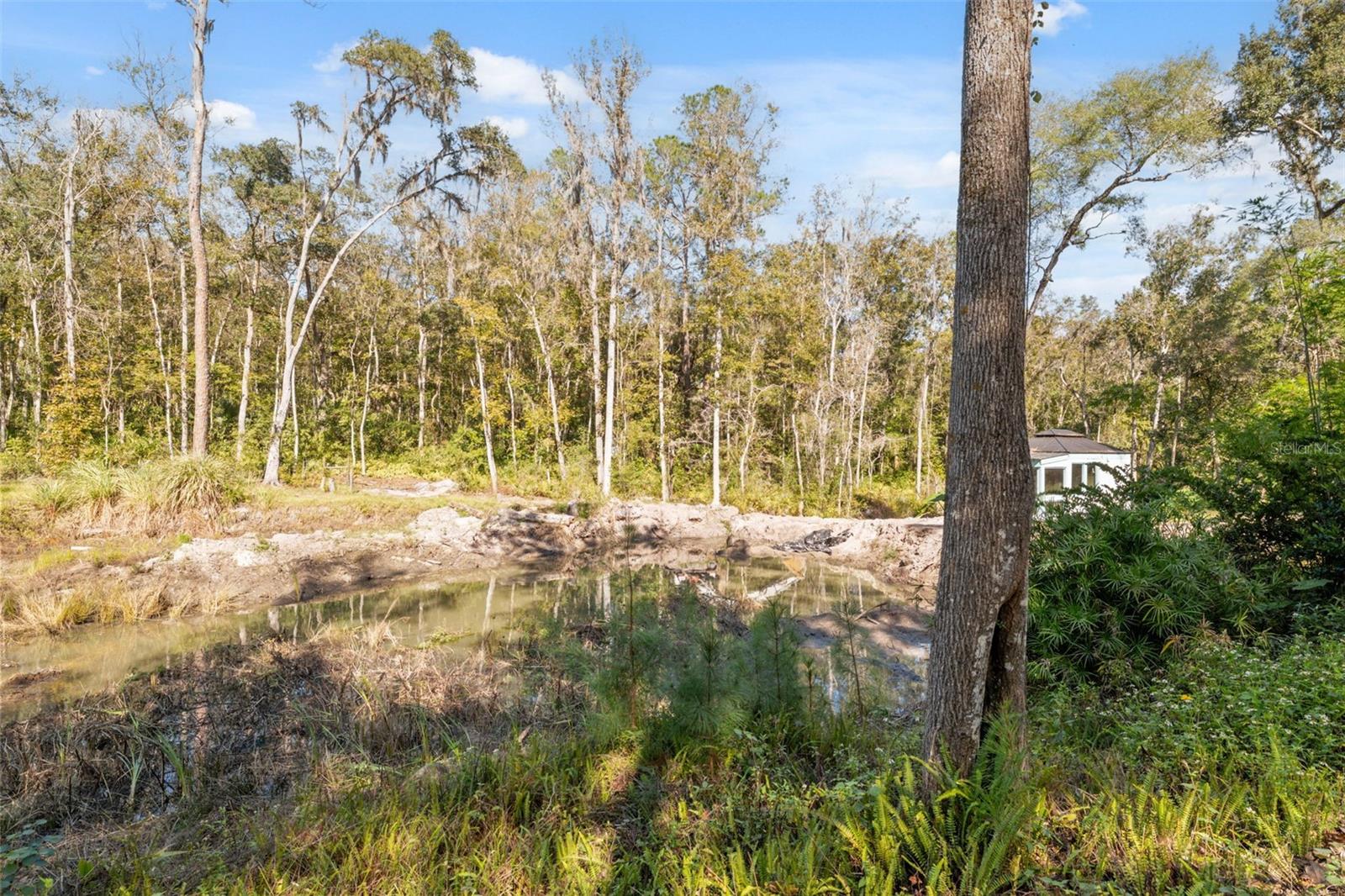 Image 19 of 29 For Neff Lake Road