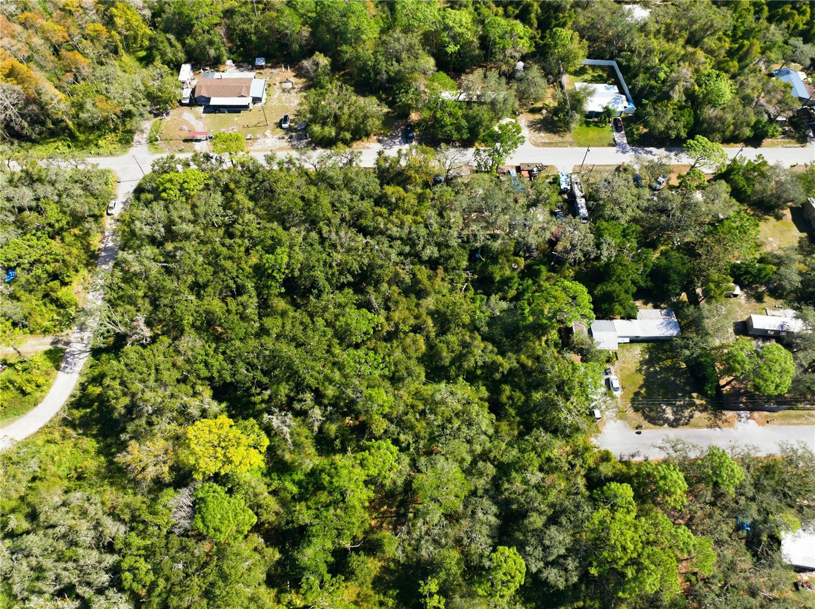 Listing photo id 9 for 000 Shalimar Street