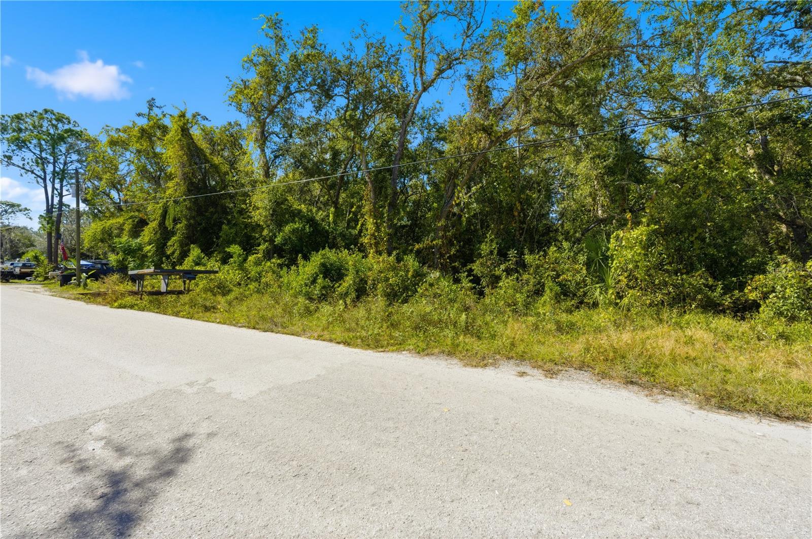 Listing photo id 0 for 000 Shalimar Street