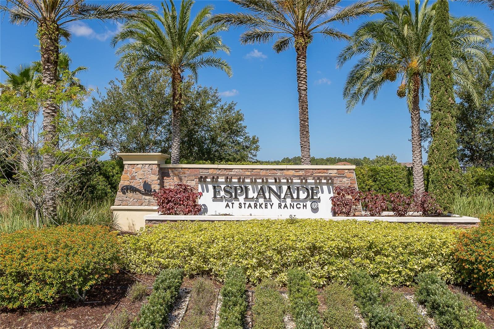 Image 3 of 100 For 11599 Callisia Drive