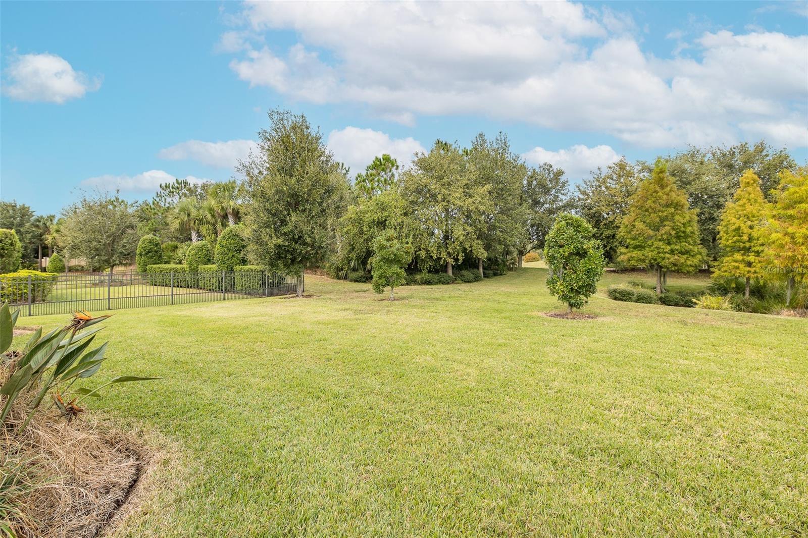 Image 57 of 100 For 11599 Callisia Drive