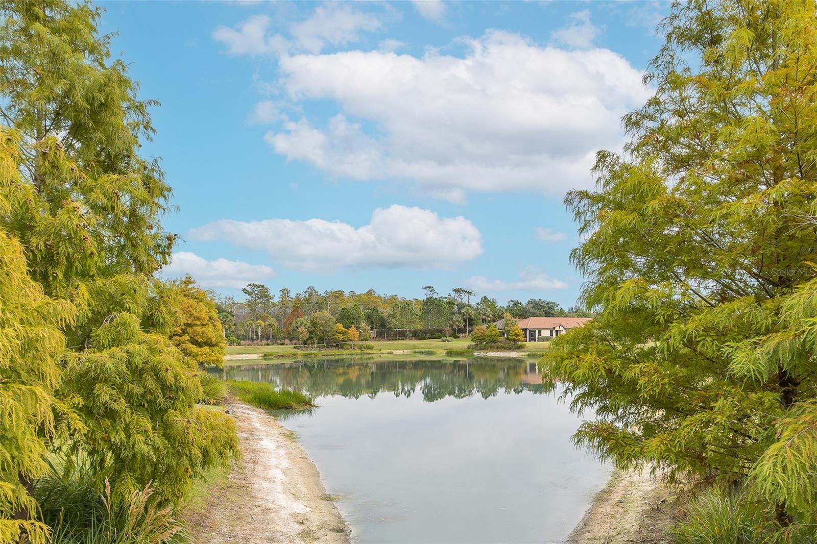 Image 58 of 100 For 11599 Callisia Drive