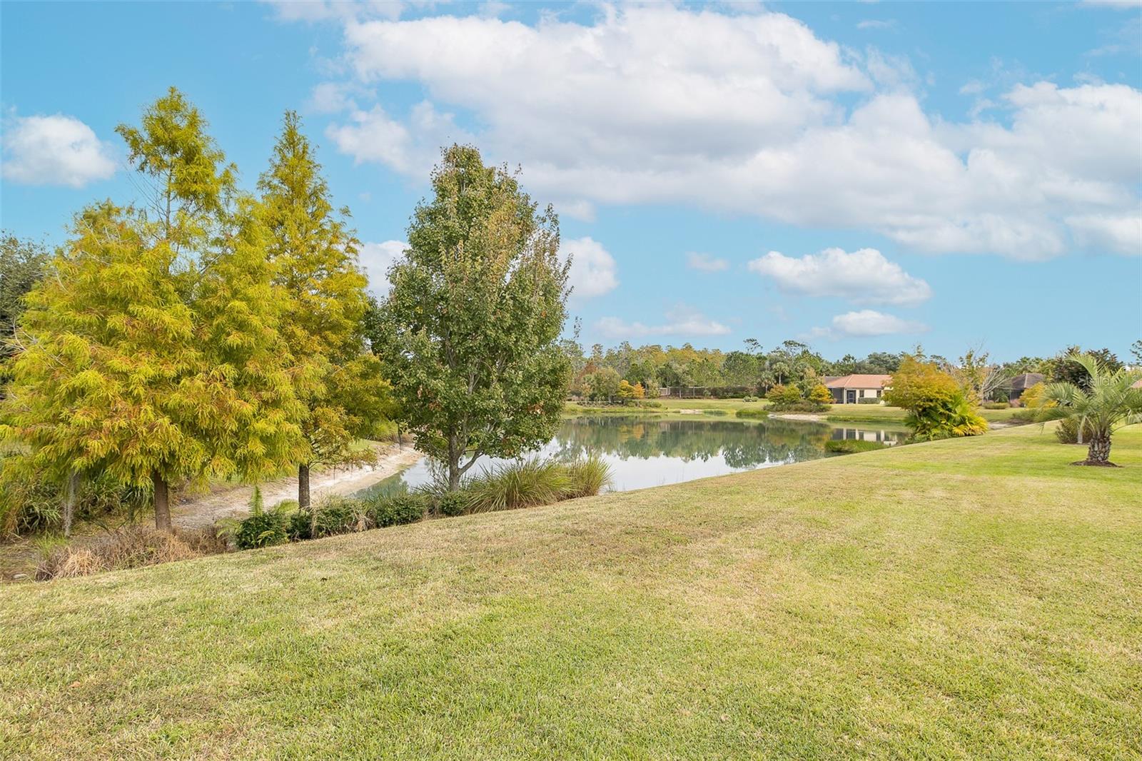 Image 59 of 100 For 11599 Callisia Drive