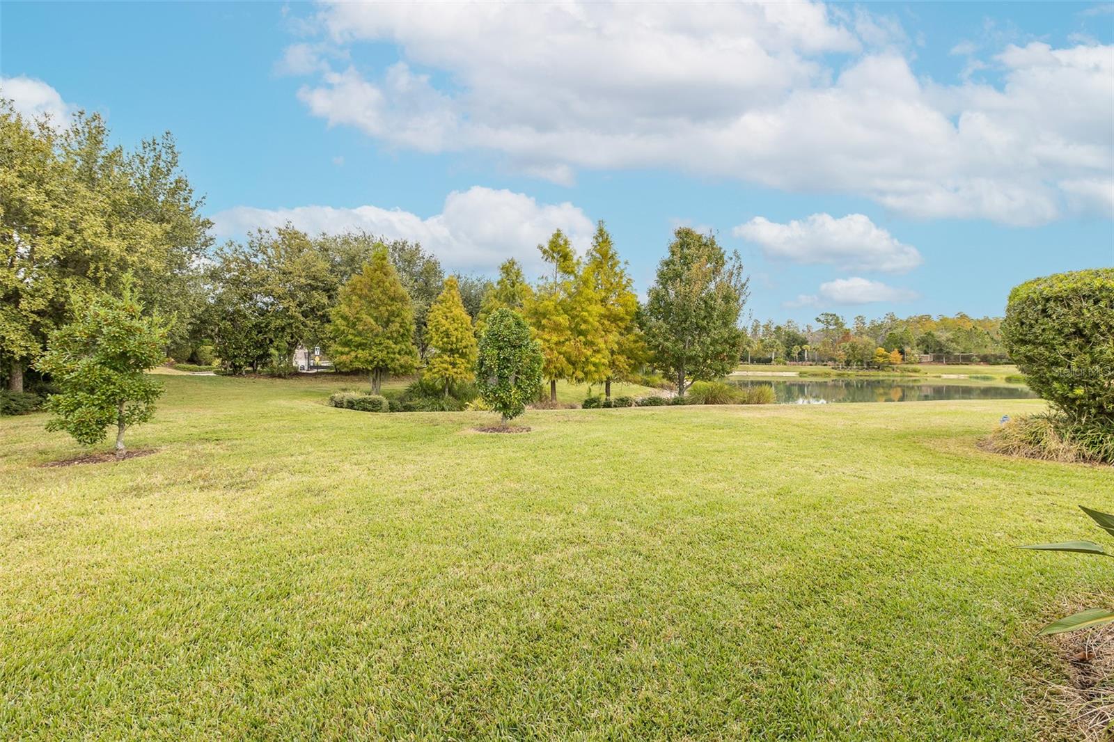 Image 61 of 100 For 11599 Callisia Drive