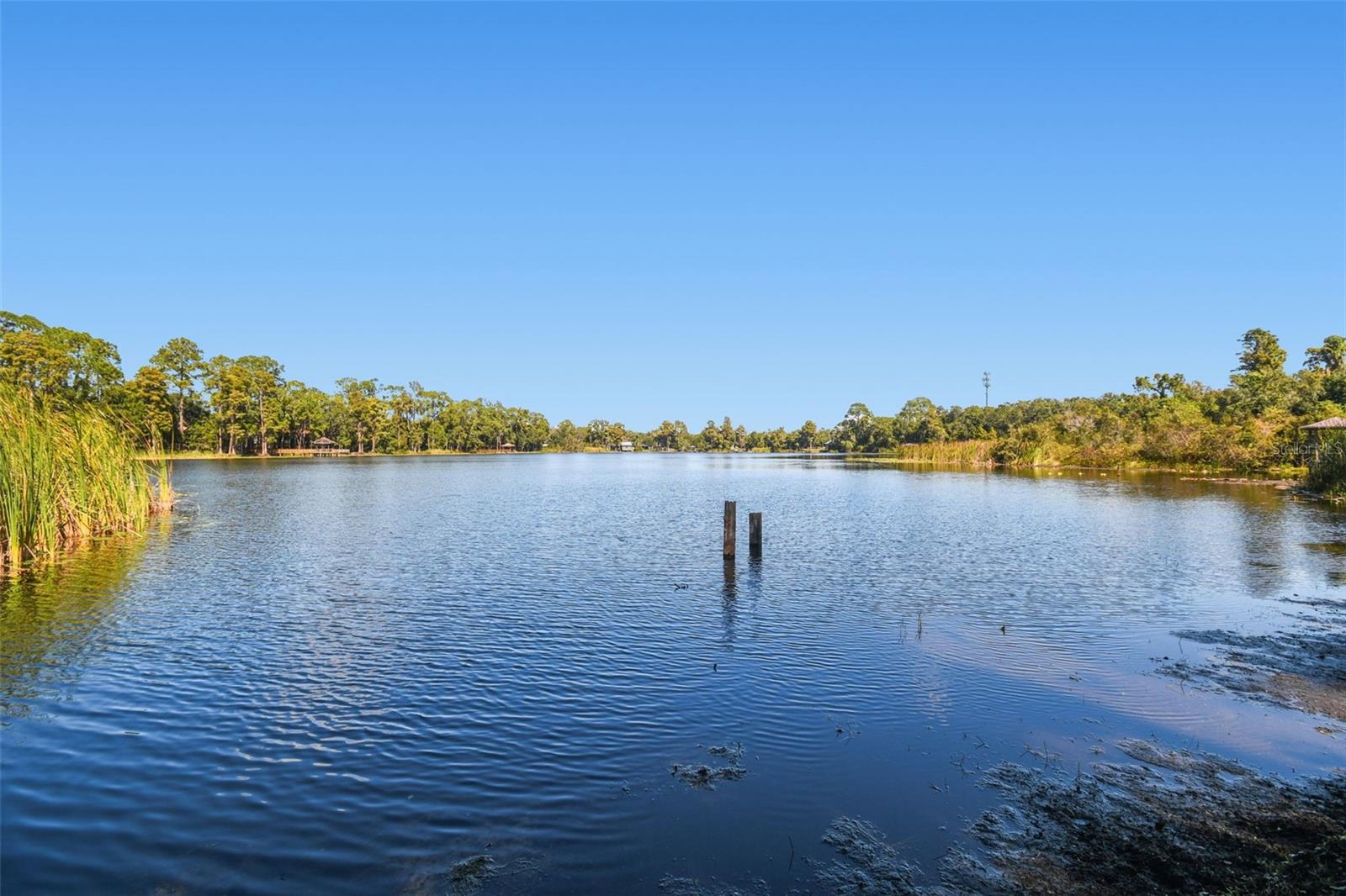 Image 70 of 84 For 8011 Mobley Road