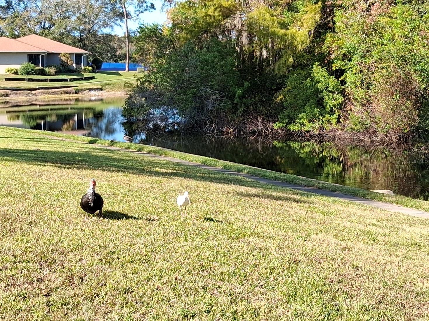 Image 22 of 26 For 7737 Eureka Drive 203