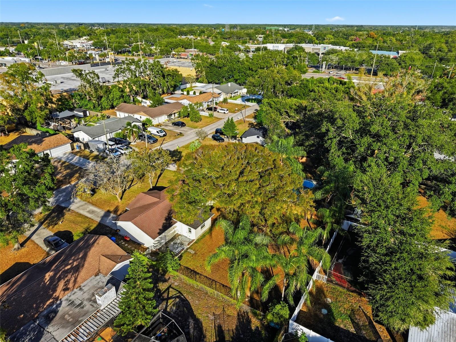 Image 44 of 48 For 118 Connie Avenue