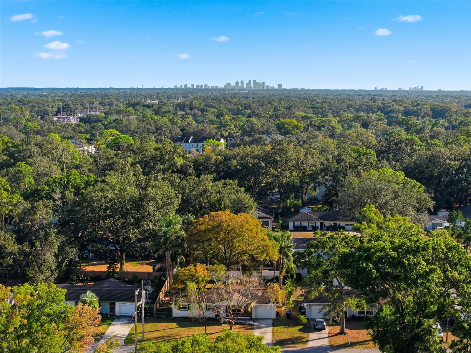 Image 45 of 48 For 118 Connie Avenue