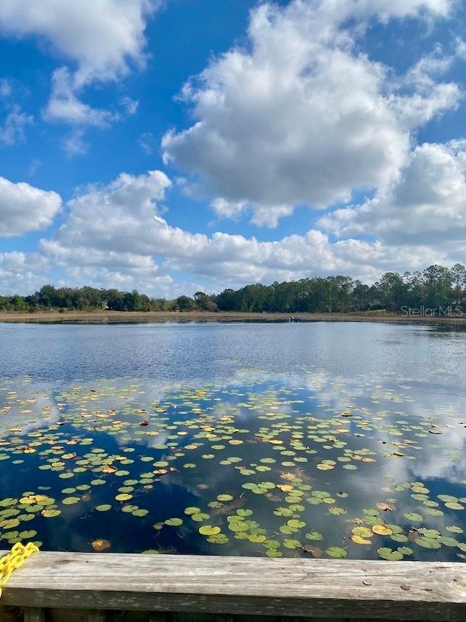 Image 18 of 18 For 9325 Grizzly Bear Lane