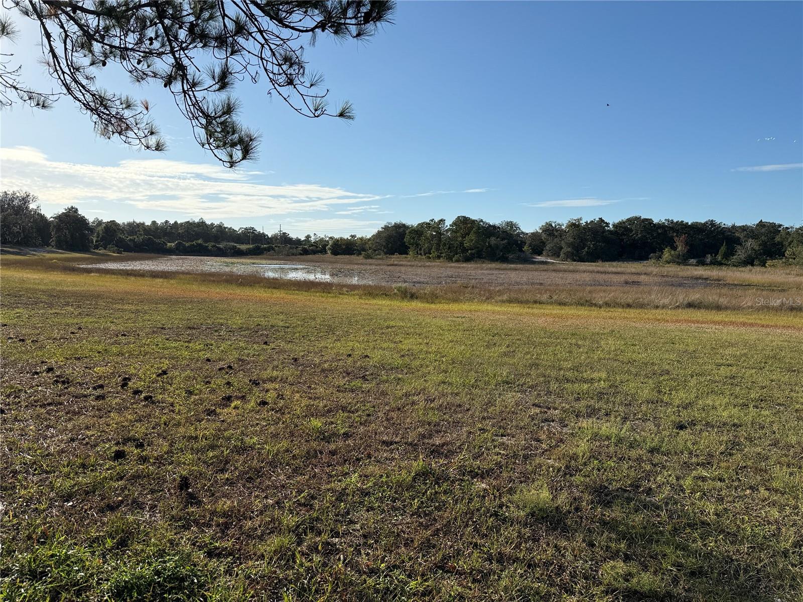 Image 6 of 7 For 9325 Grizzly Bear Lane