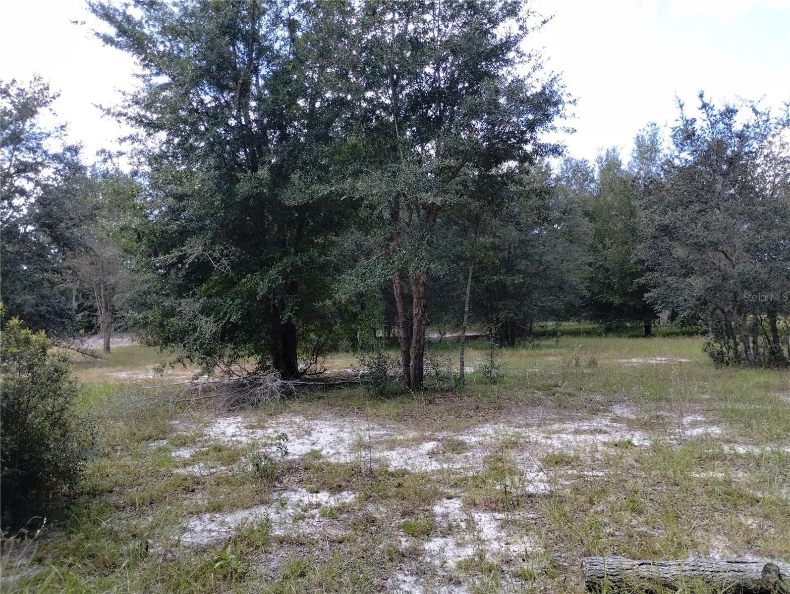 Image 12 of 29 For 1826 44th Place