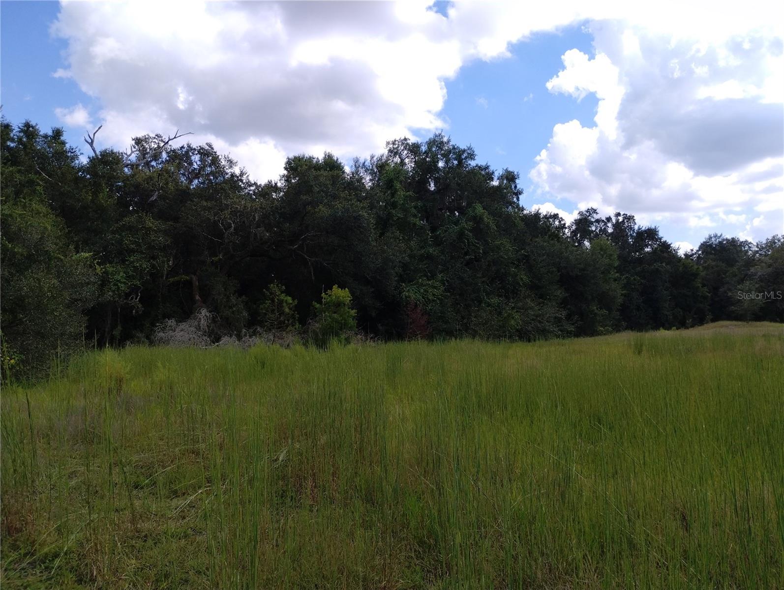 Image 13 of 29 For 1826 44th Place