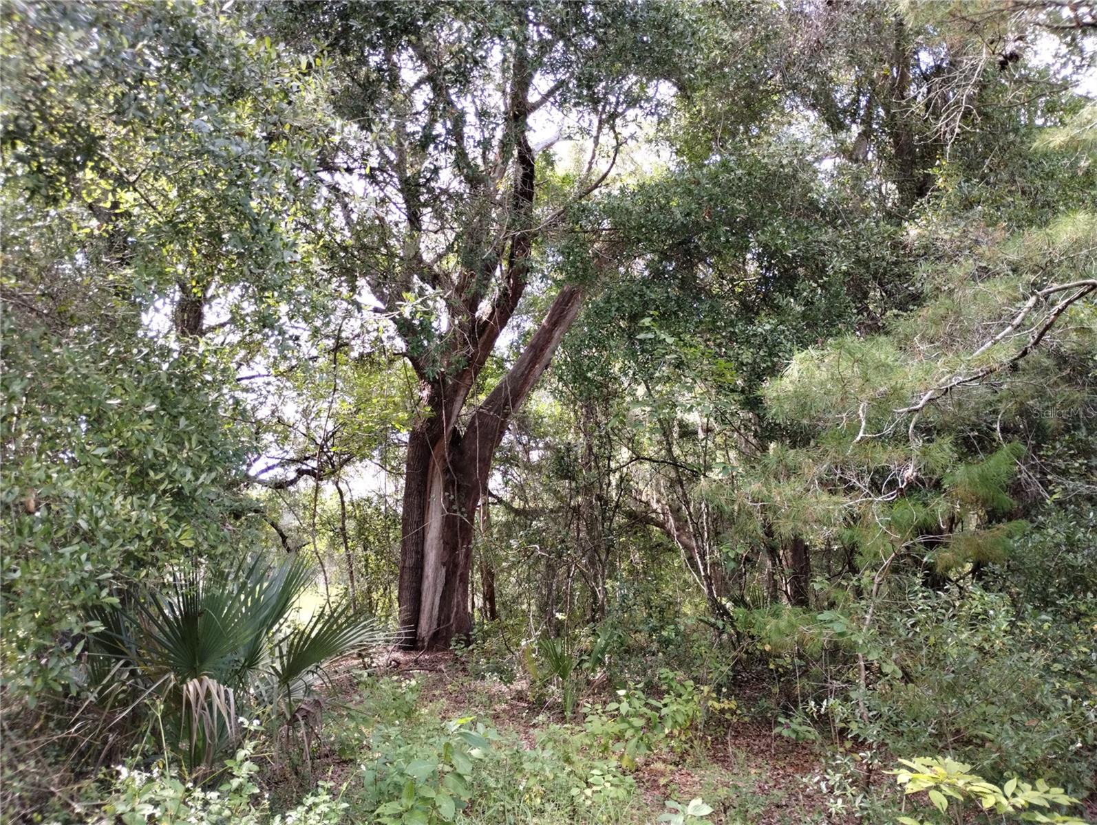 Image 4 of 29 For 1826 44th Place