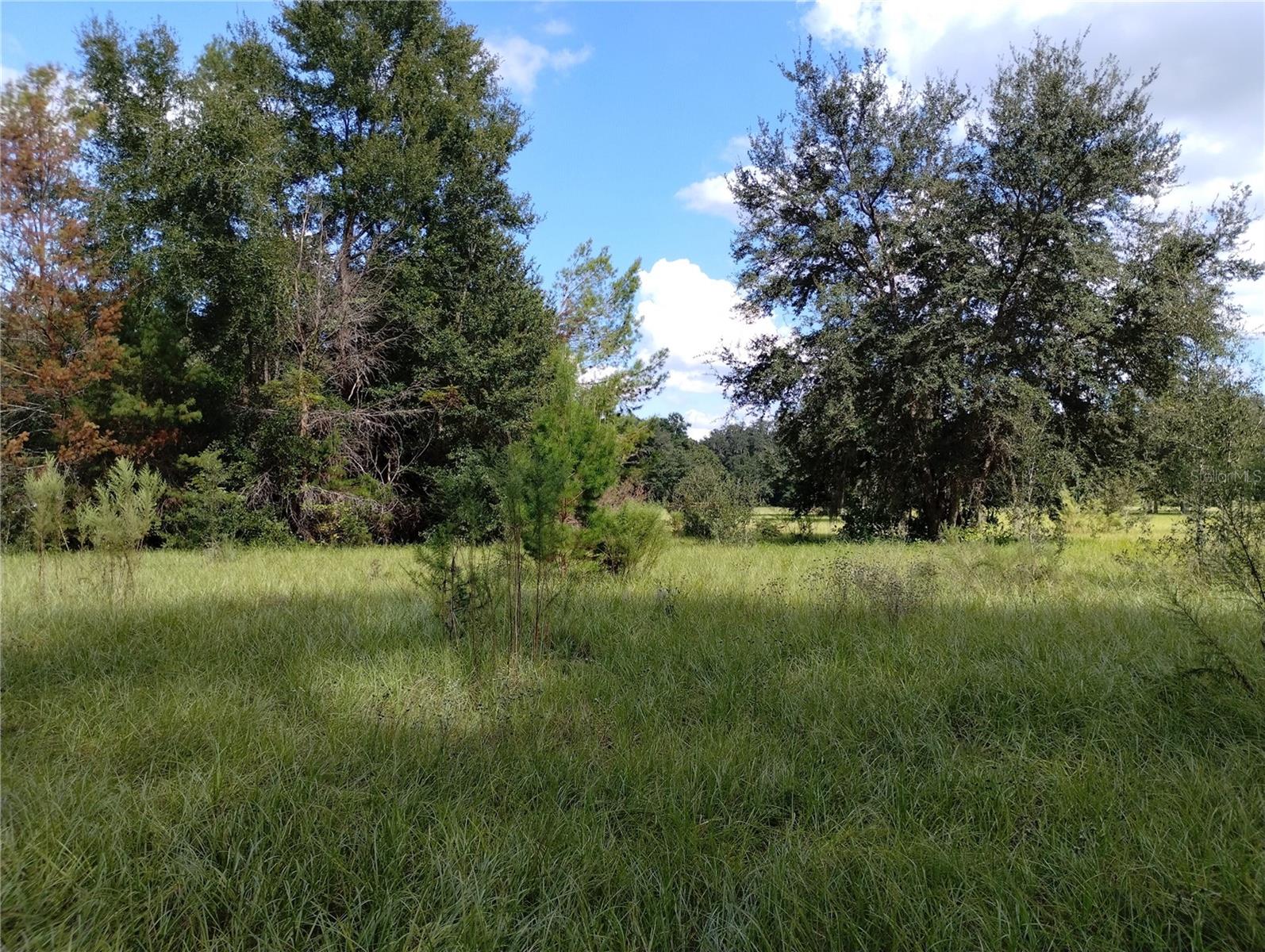 Image 5 of 29 For 1826 44th Place