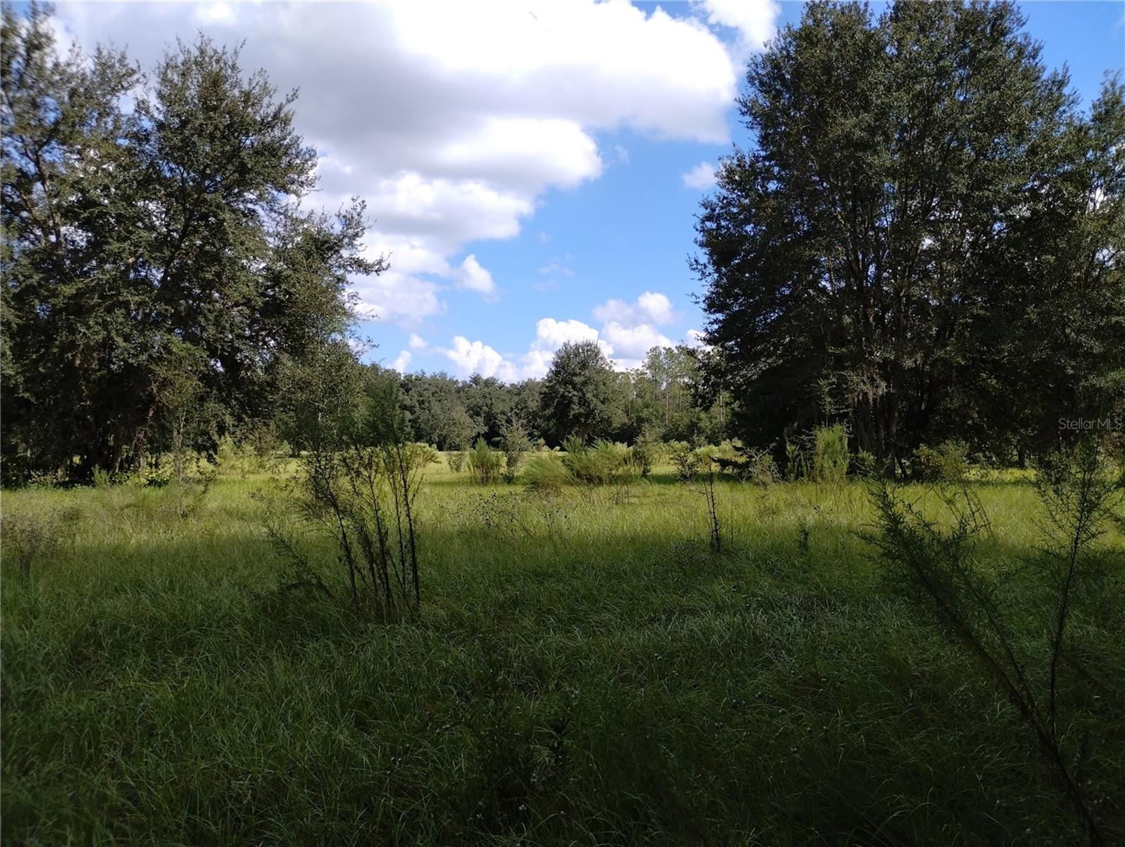 Image 6 of 29 For 1826 44th Place