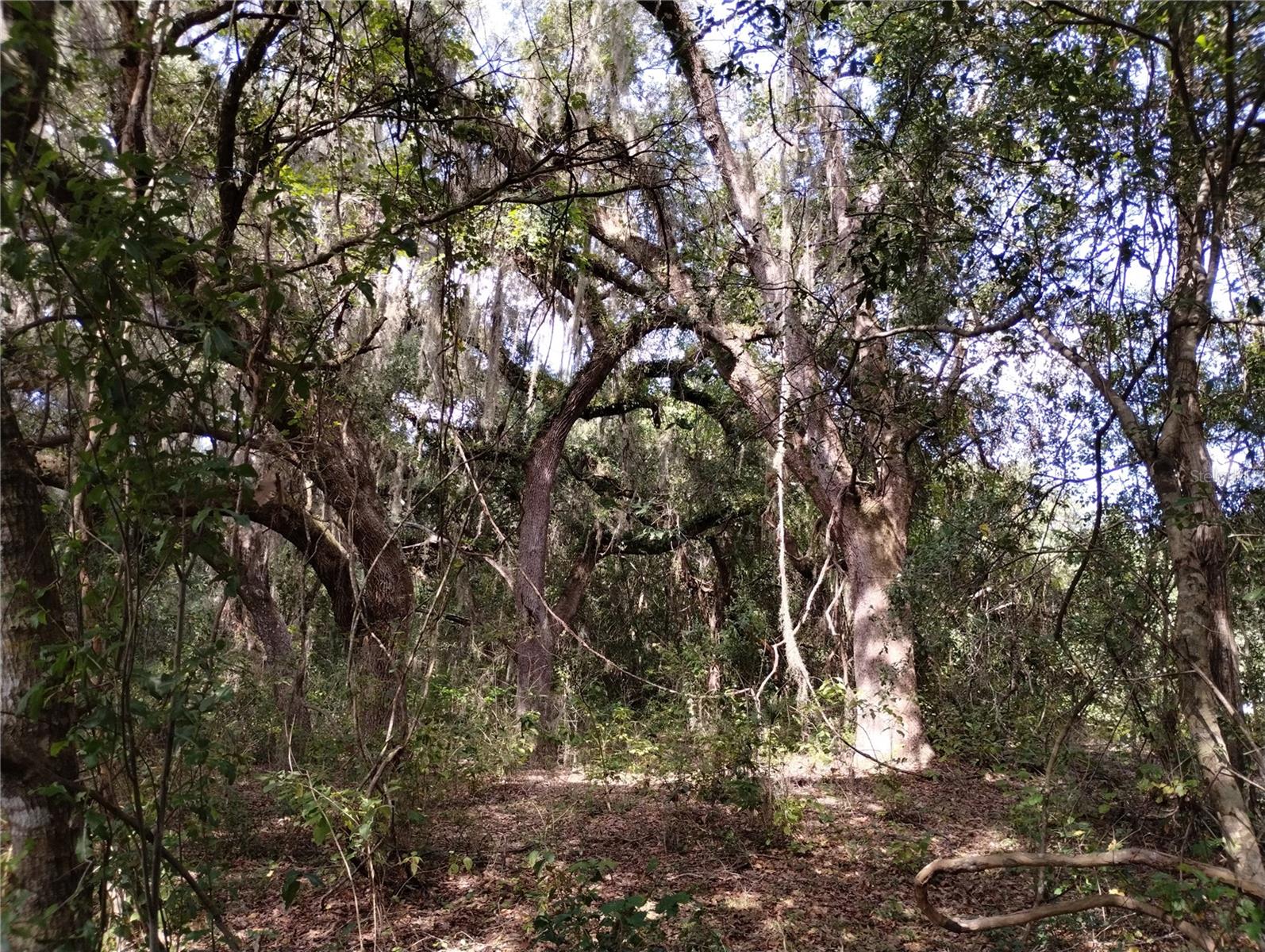 Image 7 of 29 For 1826 44th Place