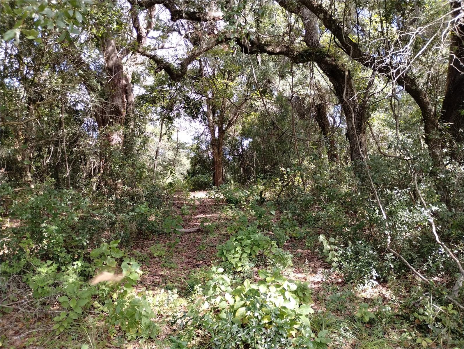 Image 8 of 29 For 1826 44th Place