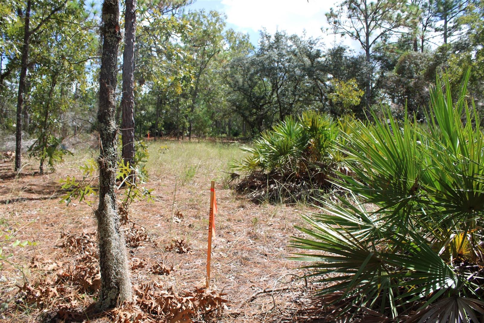 Image 4 of 4 For 5784 Durango Terrace