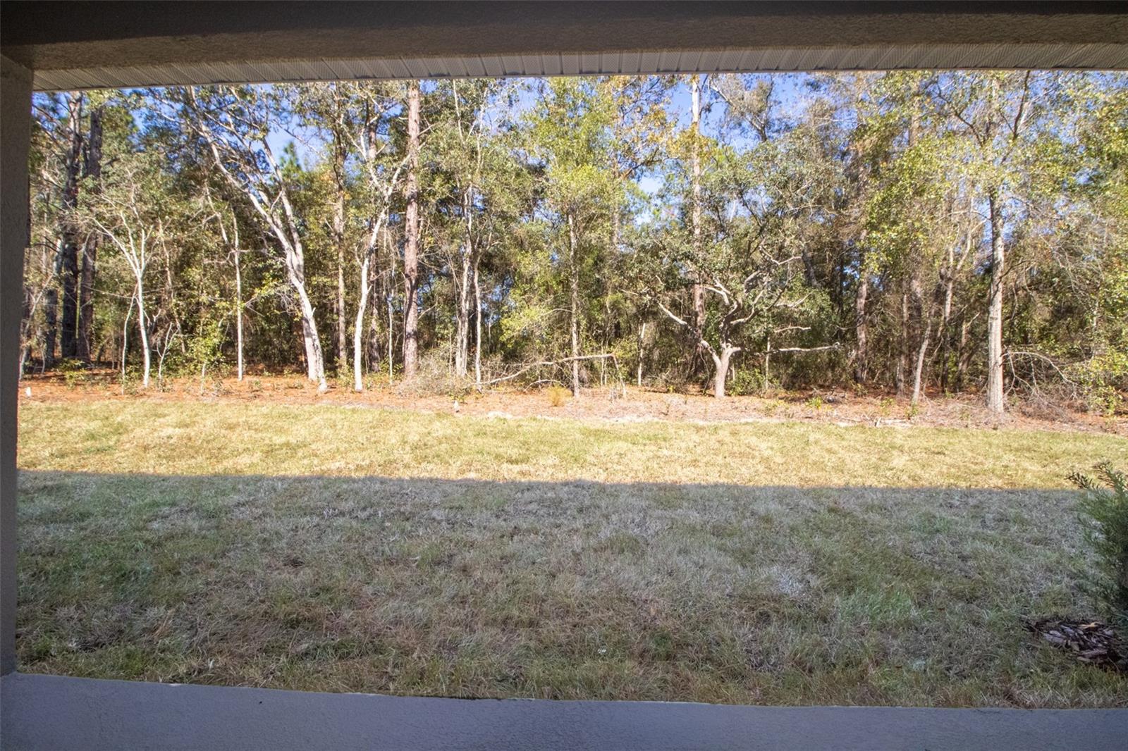 Image 33 of 40 For 2915 Goldenrod Drive