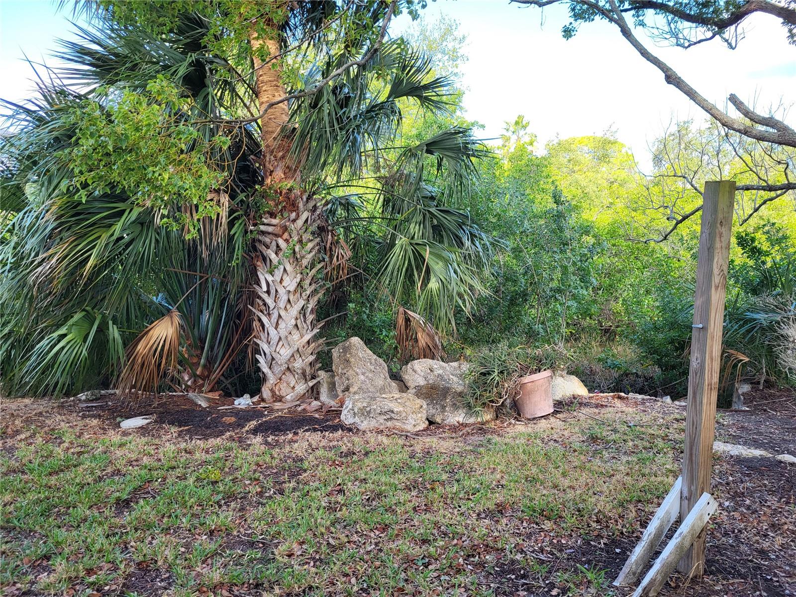 Image 6 of 17 For 4427 Dewey Drive