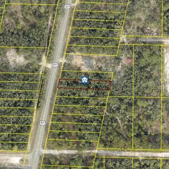 Details for Lot 28 Treiman Boulevard, WEBSTER, FL 33597