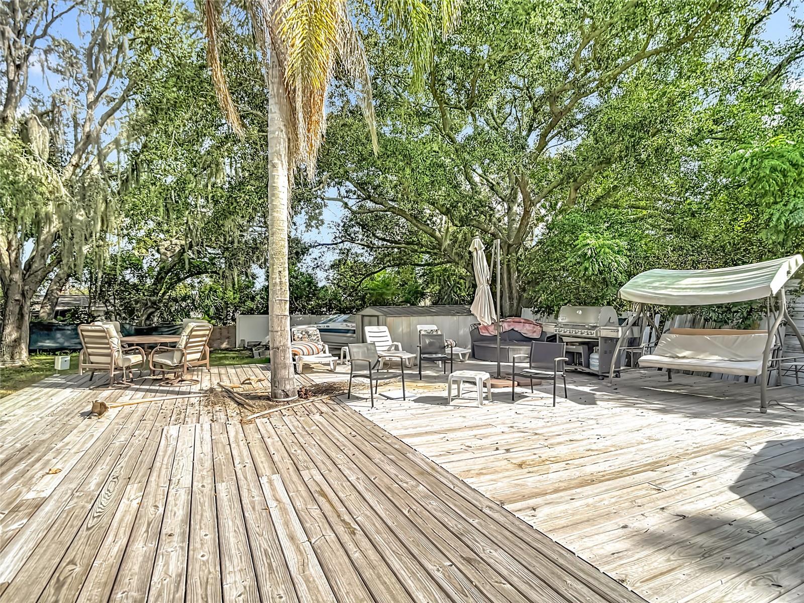 Image 36 of 47 For 4716 Gazania Street