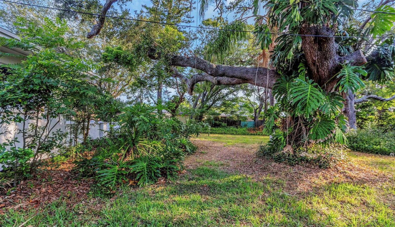 Image 85 of 100 For 1905 Pinetree Lane