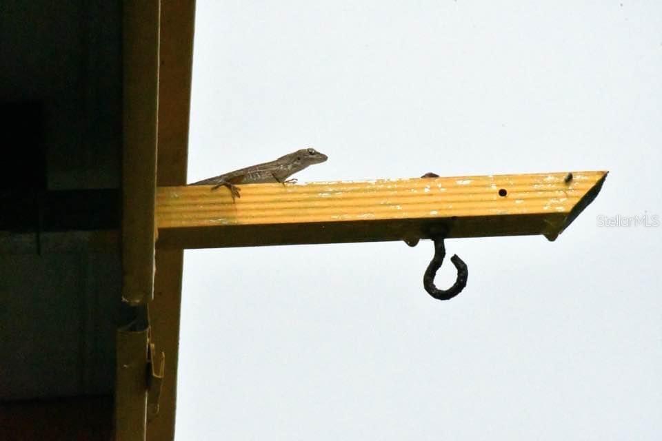 Image 49 of 50 For 7353 Banner Street