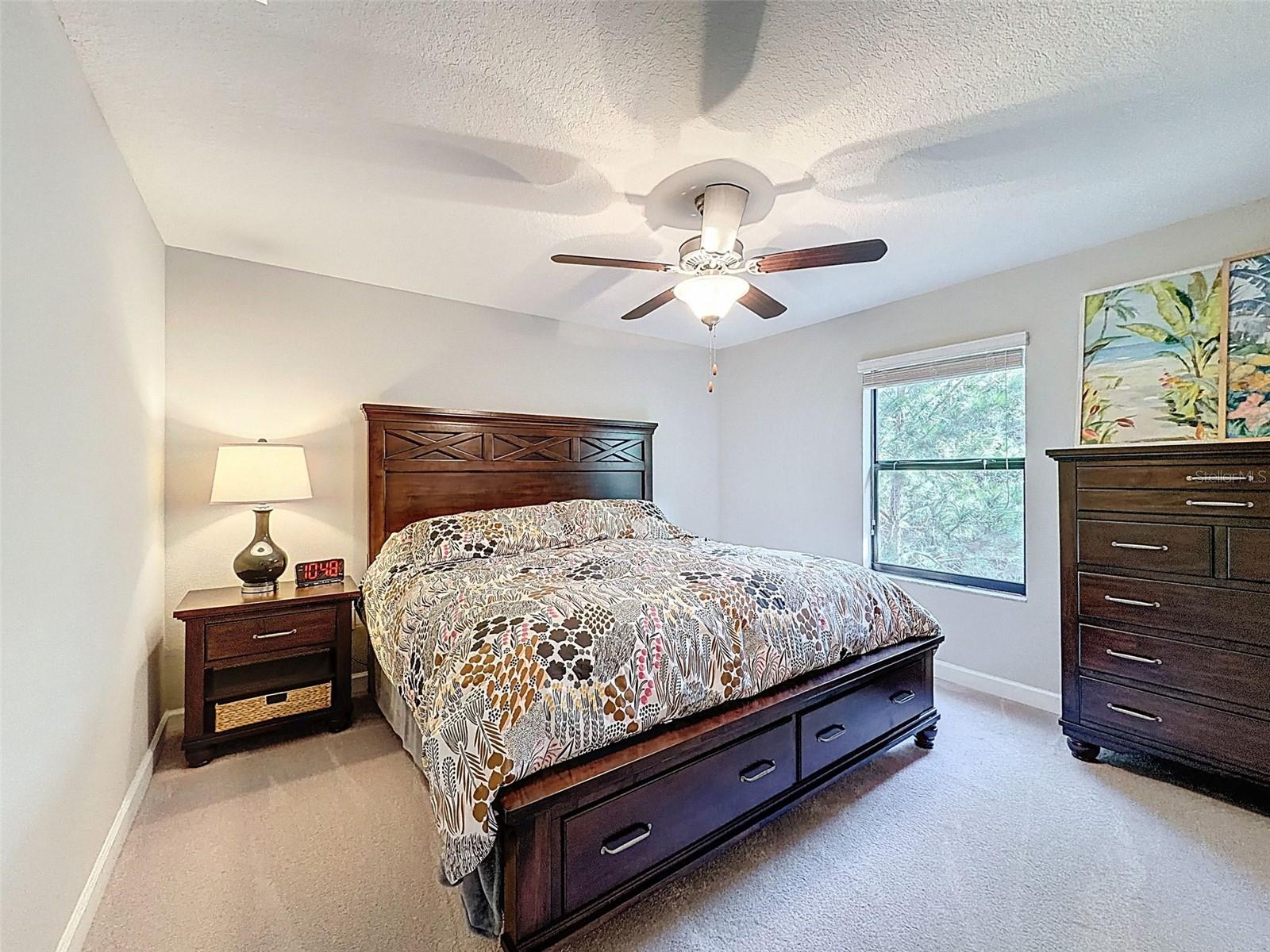 Image 13 of 25 For 28520 Tranquil Lake Circle