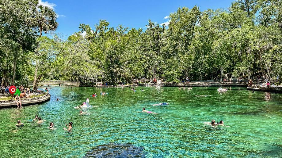 Image 23 of 23 For 815 Emerald Grove Drive