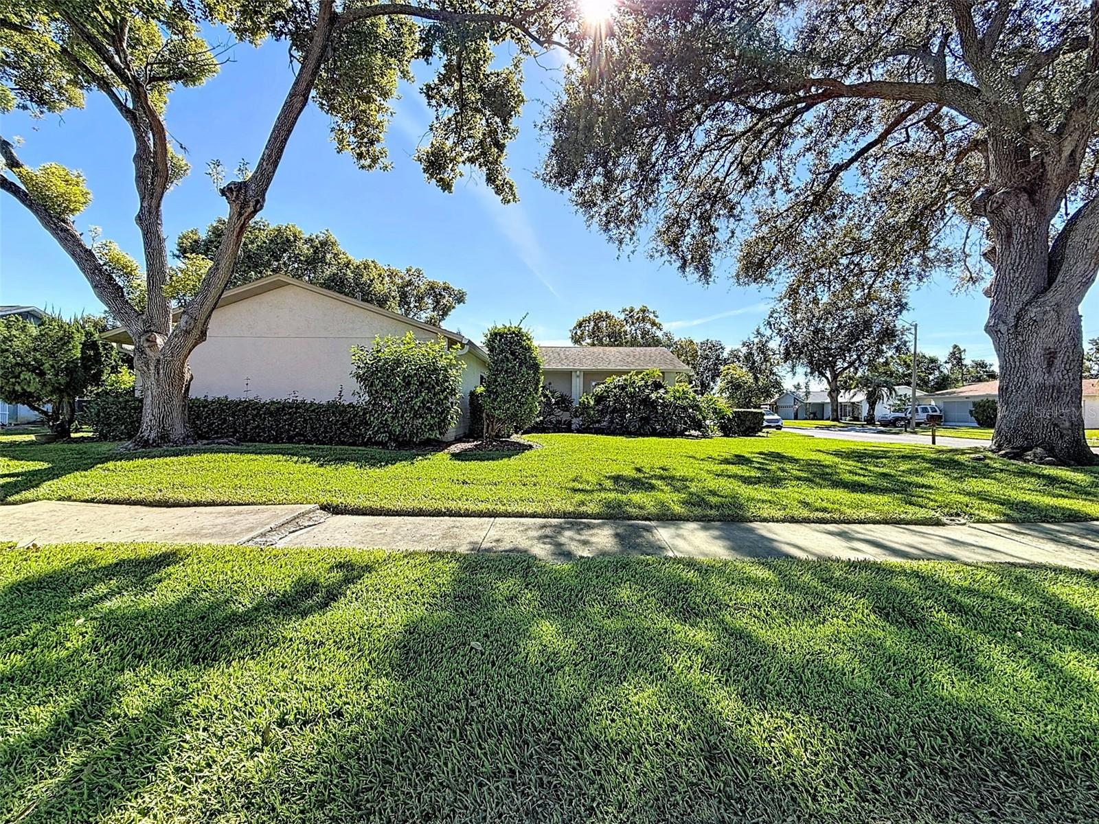 Image 23 of 26 For 11220 Elderberry Drive