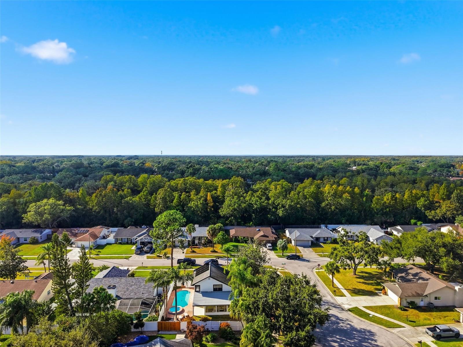 Image 41 of 41 For 15307 Winterwind Drive