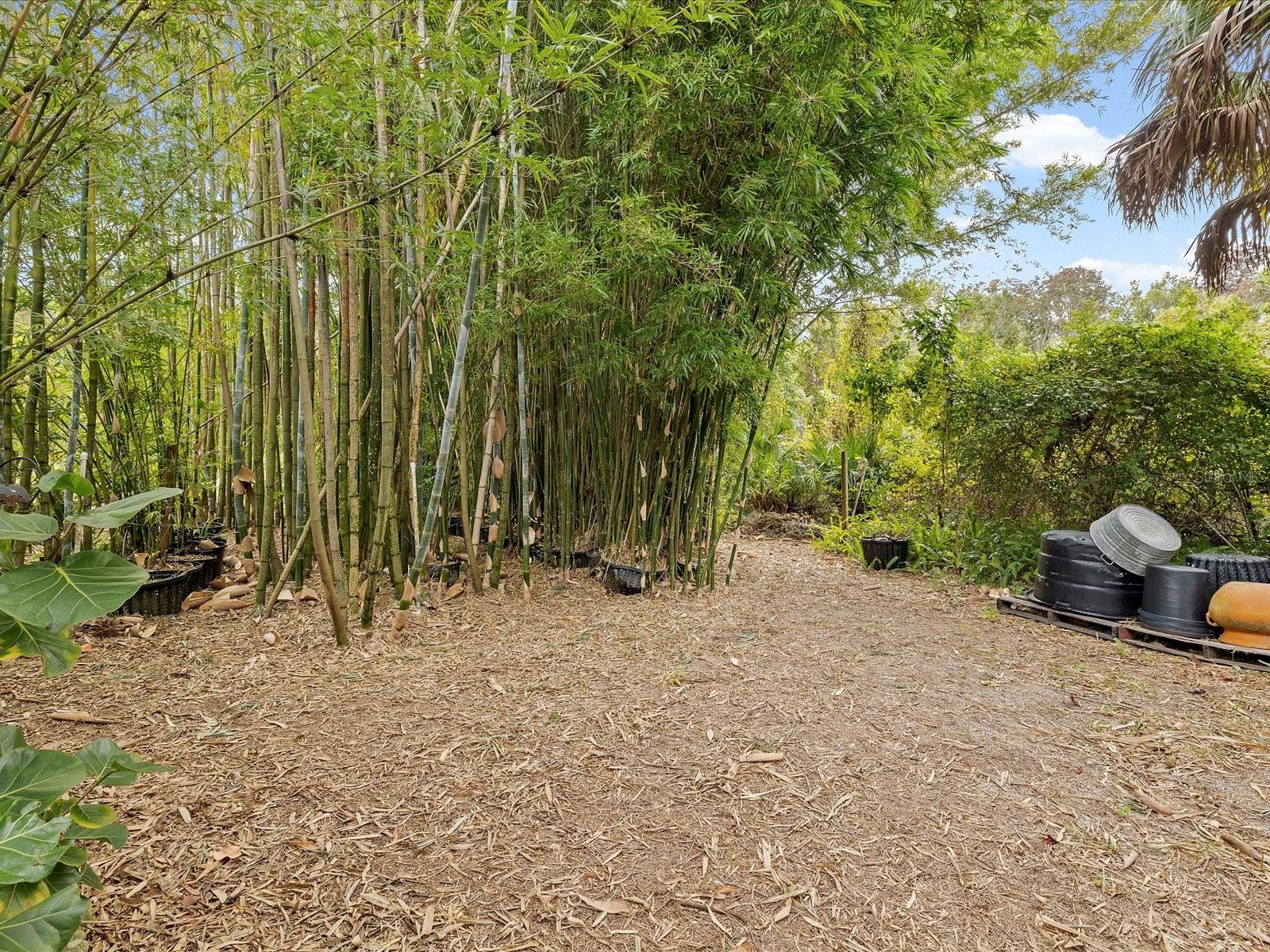 Image 72 of 100 For 8551 Pratt Drive