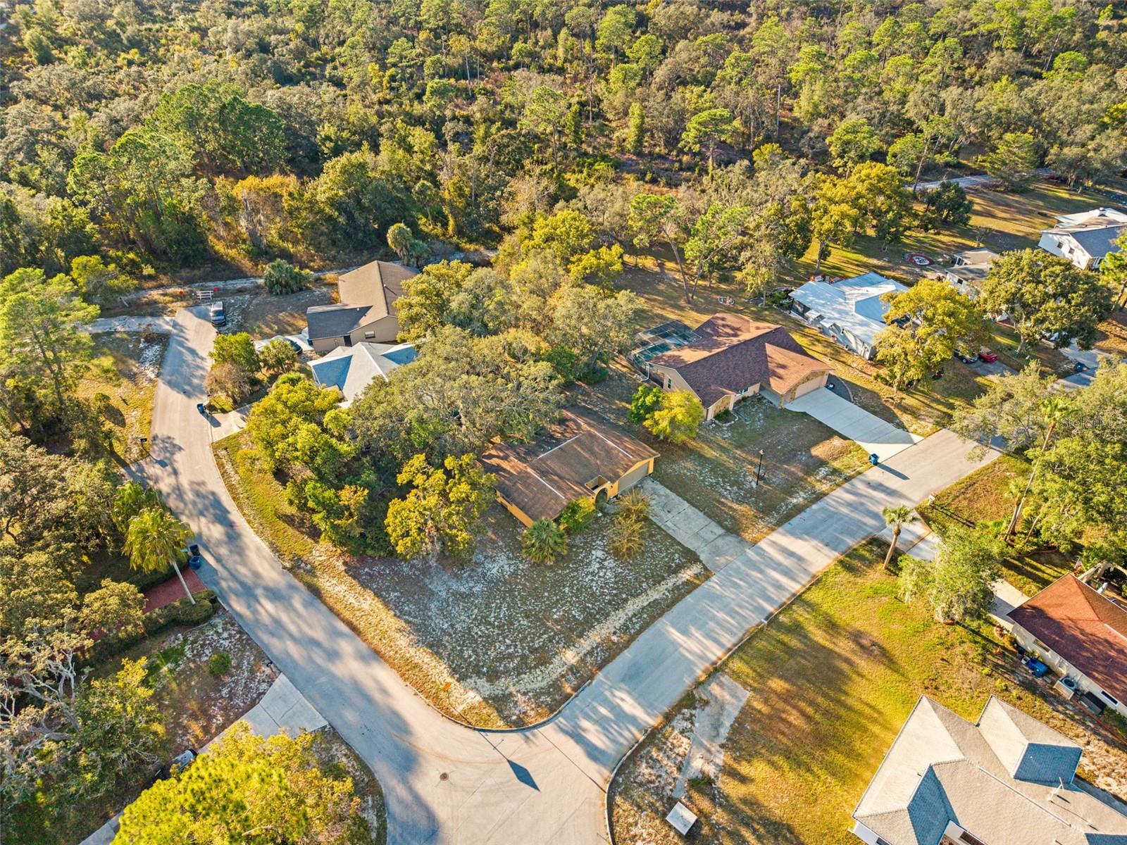 Image 32 of 38 For 7275 Edinburgh Way