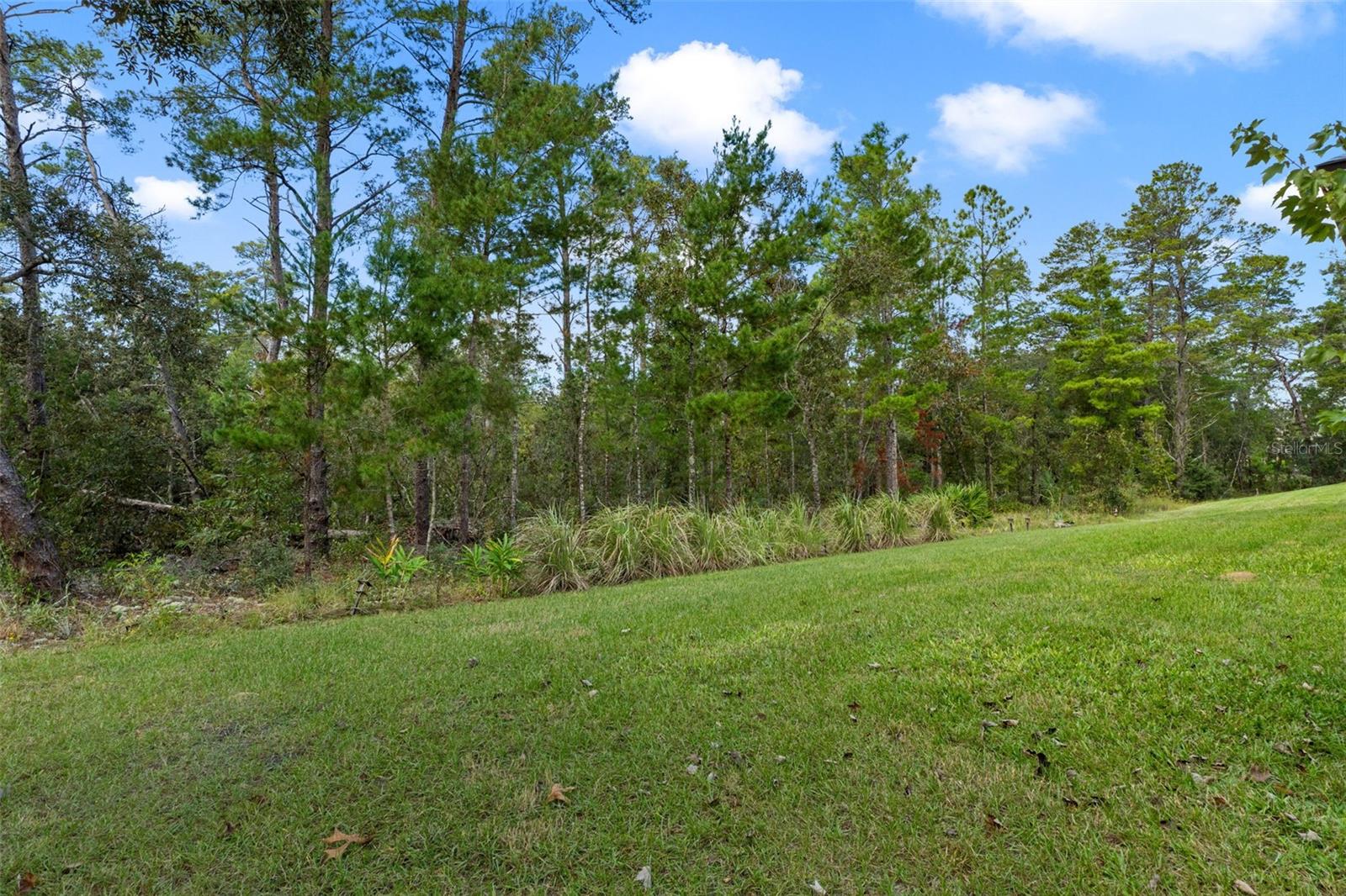 Image 44 of 46 For 15 Lone Pine Street