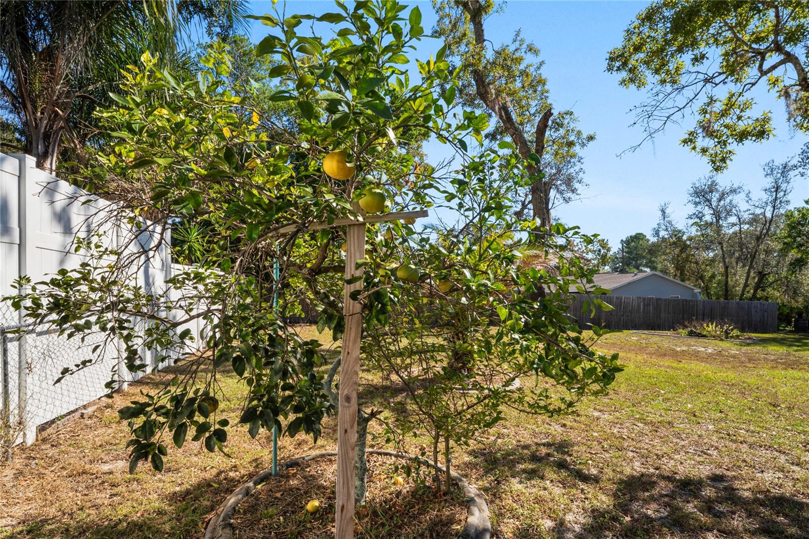 Image 48 of 68 For 9013 Nakoma Way