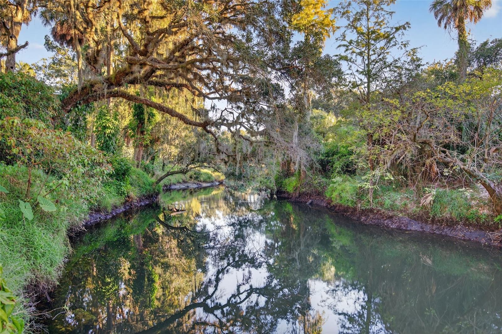 Image 17 of 18 For 6331 Lost Trail