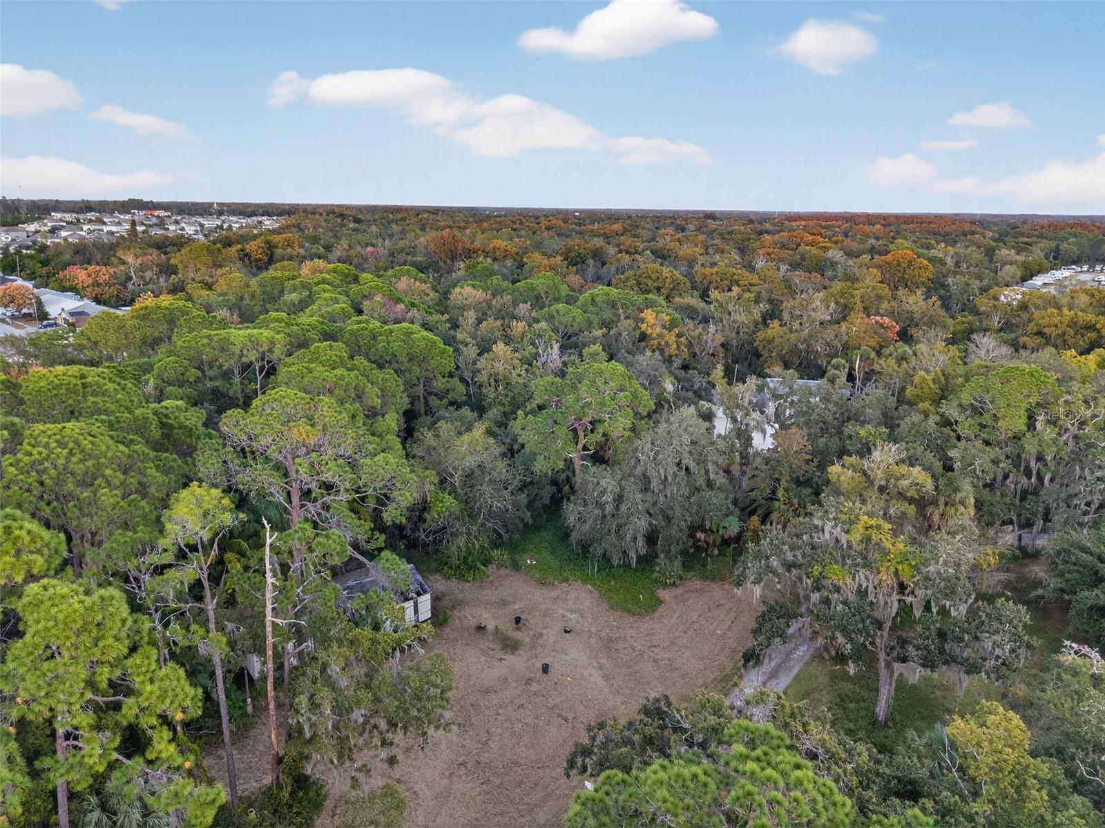 Image 6 of 18 For 6331 Lost Trail