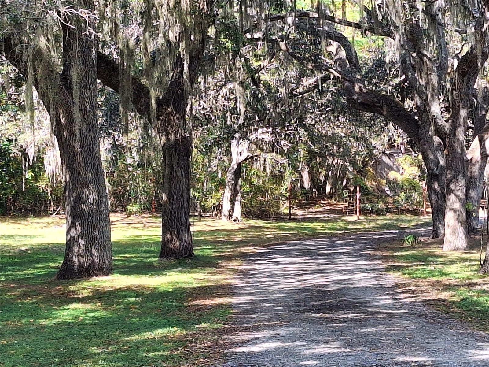 Image 4 of 97 For 13117 Media Lane