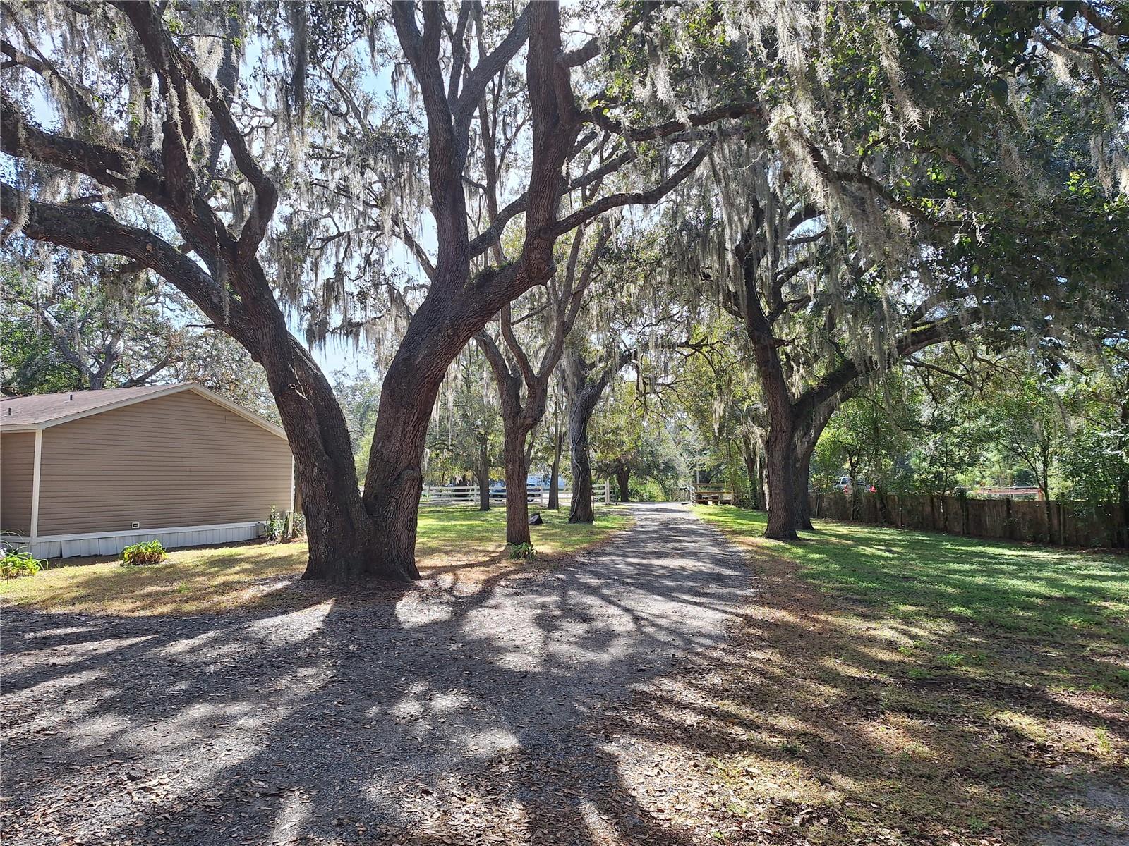 Image 55 of 97 For 13117 Media Lane