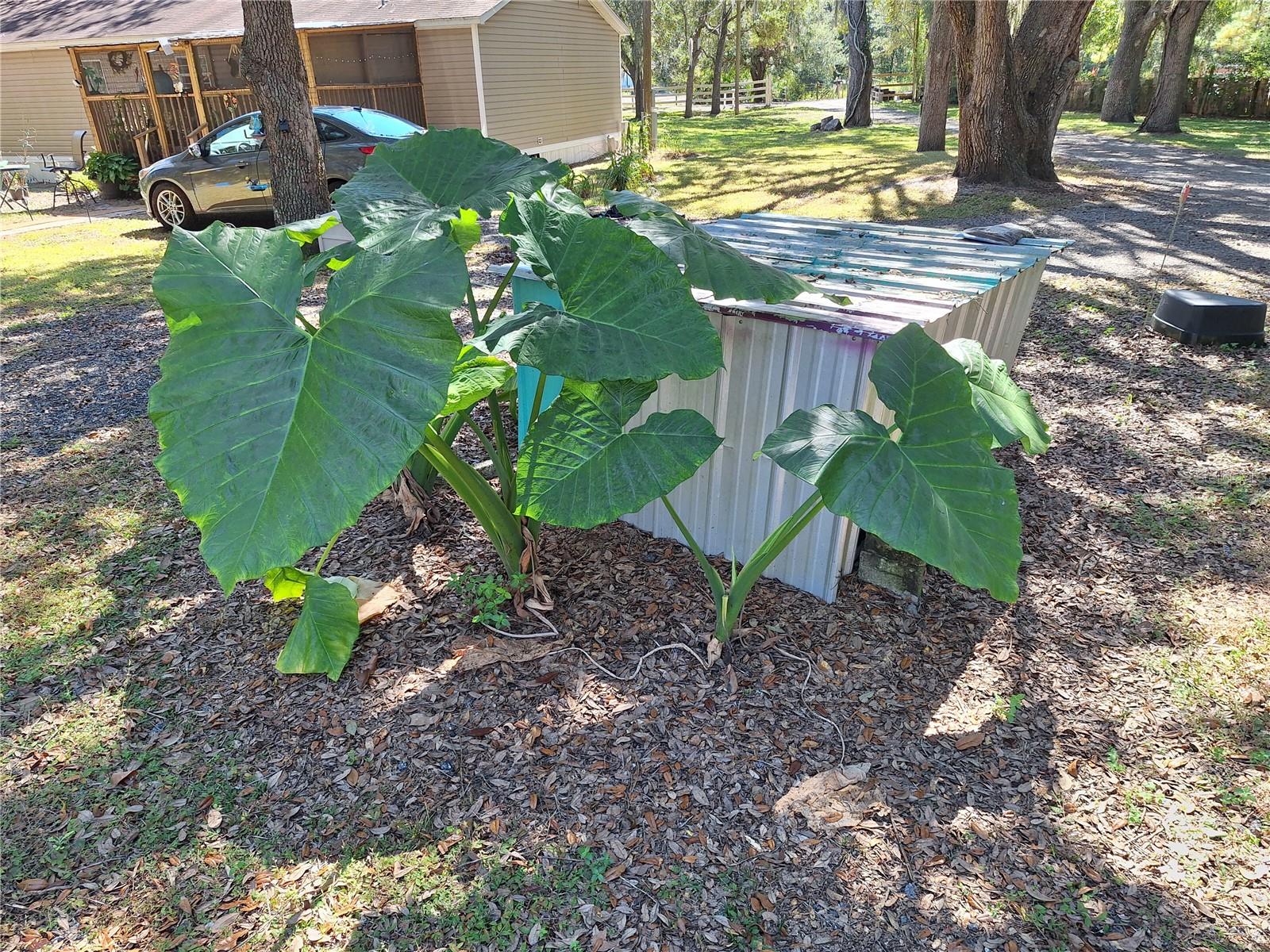 Image 57 of 97 For 13117 Media Lane