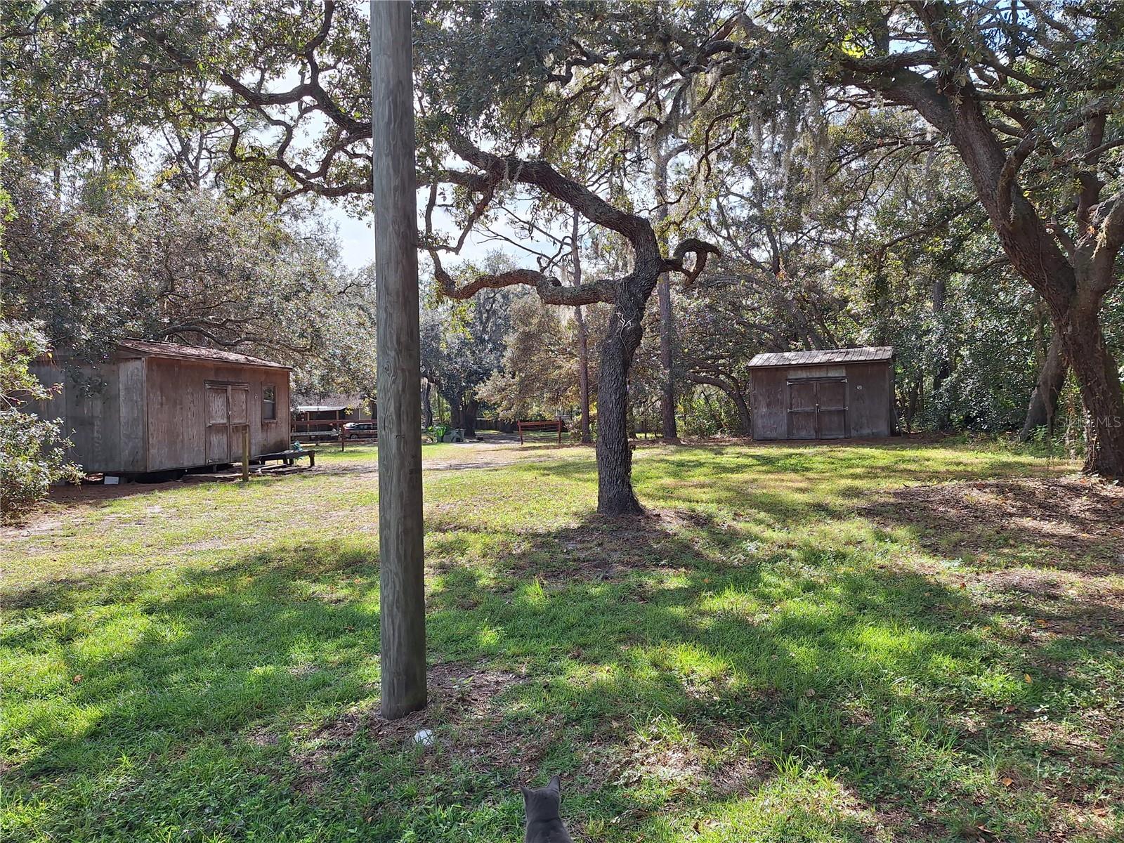 Image 64 of 97 For 13117 Media Lane