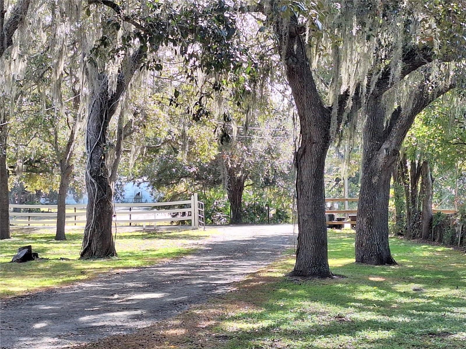 Image 84 of 97 For 13117 Media Lane